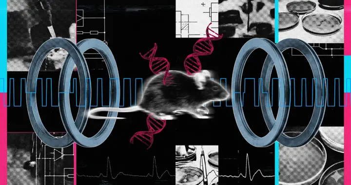 科学家证实磁场真的能改变基因表达，但它的要求非常严苛