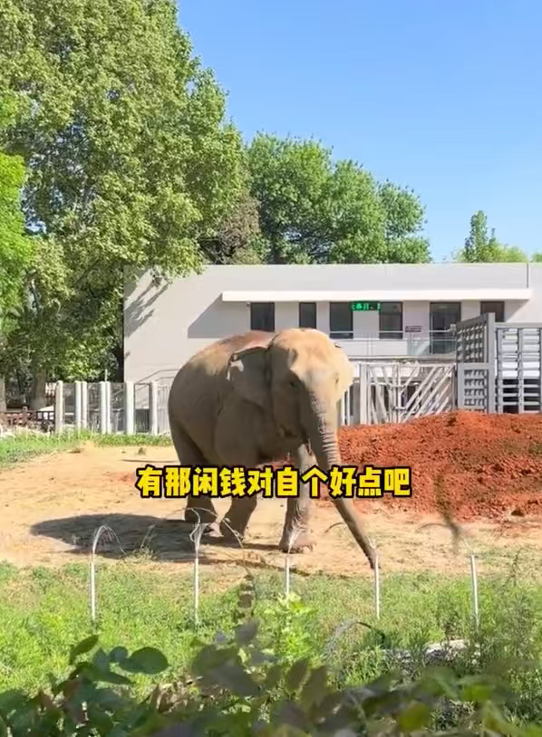禁止向动物索要食物 标语铺得到处都是，生怕有游客不自觉，简直把提醒刻满整个园区了