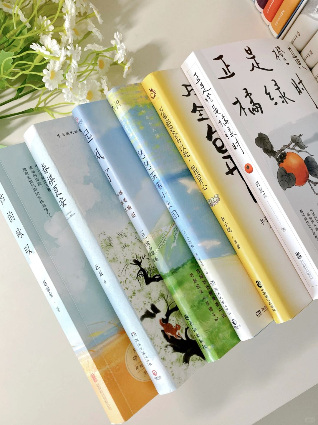 秋日治愈书单｜每一本我都好爱啊❗️