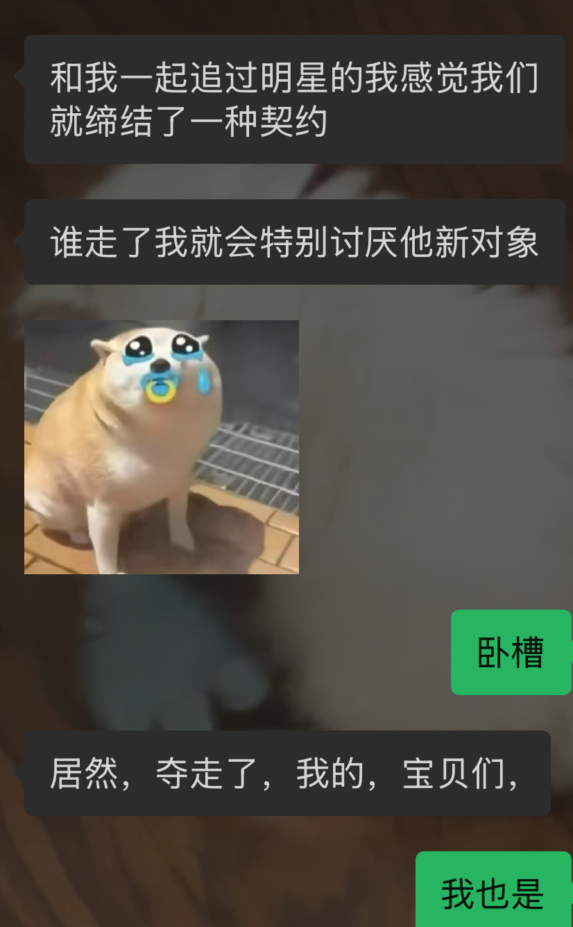 和我一起追过明星的我感觉我们就缔结了一种契约 谁走了我就会特别讨厌他新对象 