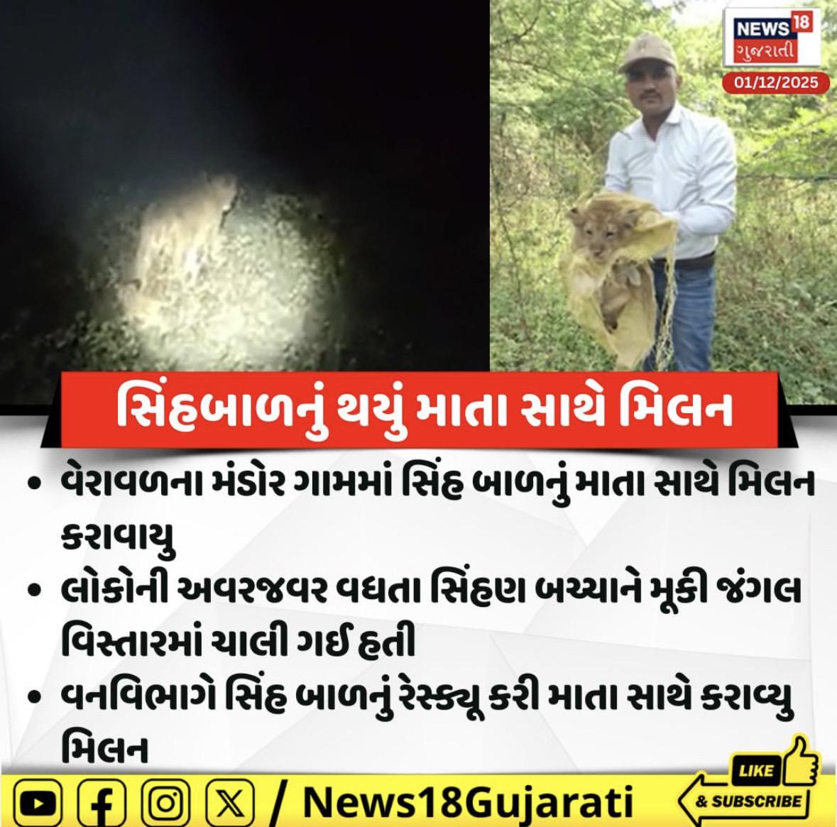 村庄里一只单独的小狮子被森林部门送回家。森林部门：有个小孩走丢了，妈妈听到速领