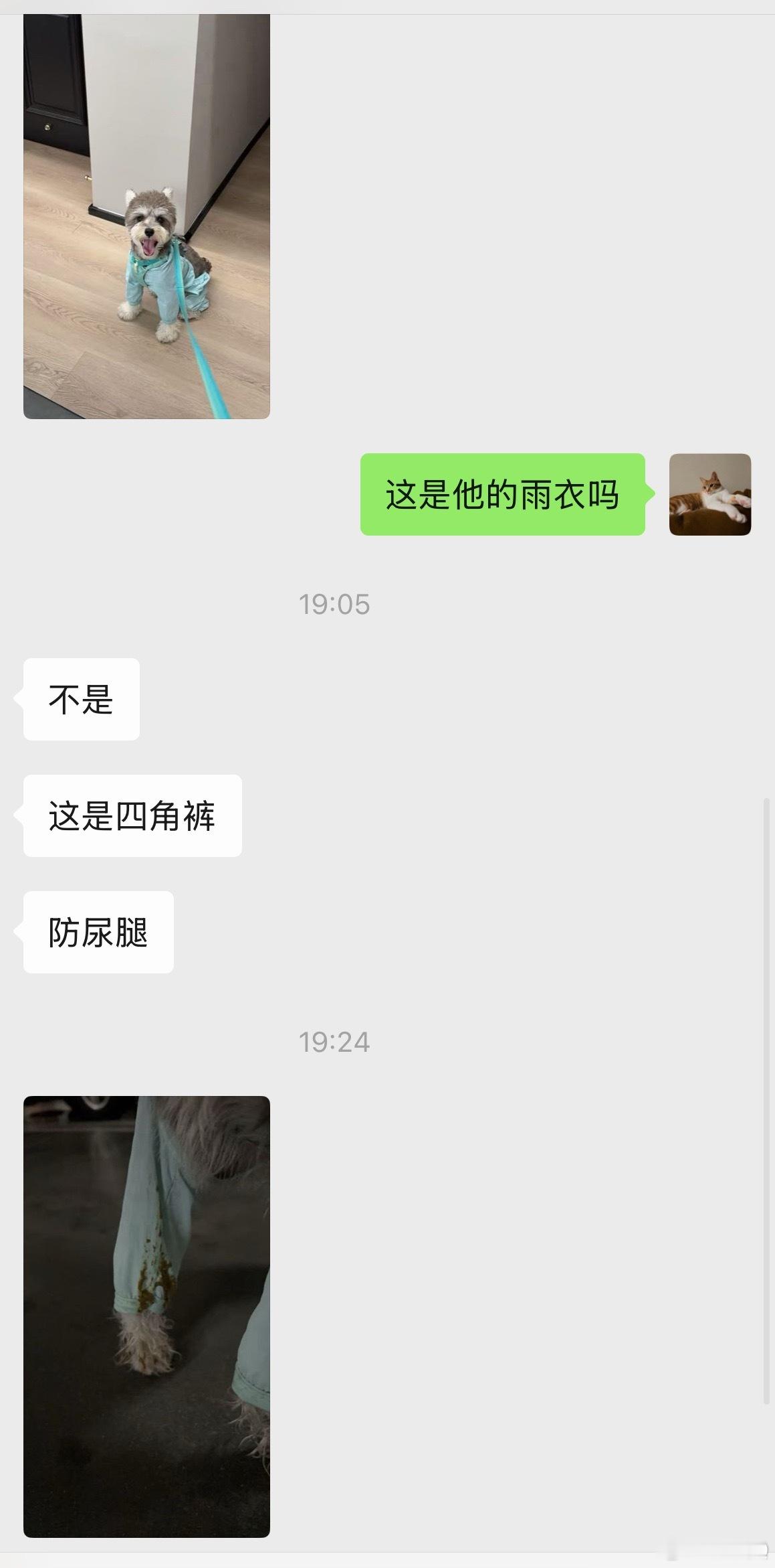 好好笑 防尿不防💩 
