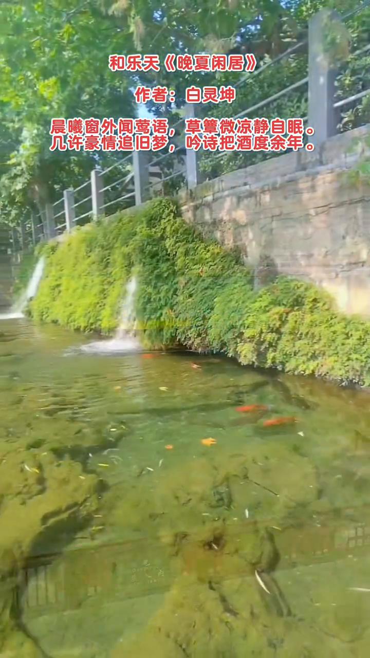 和乐天《晚夏闲居》，作者：白灵坤。
晨曦窗外闻莺语，草簟微凉静自眠。
几许豪情追