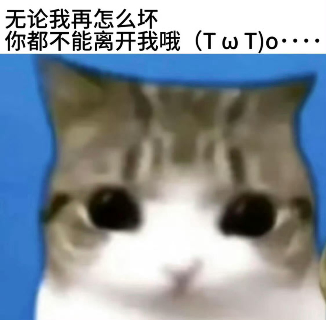 你知豆了木有 