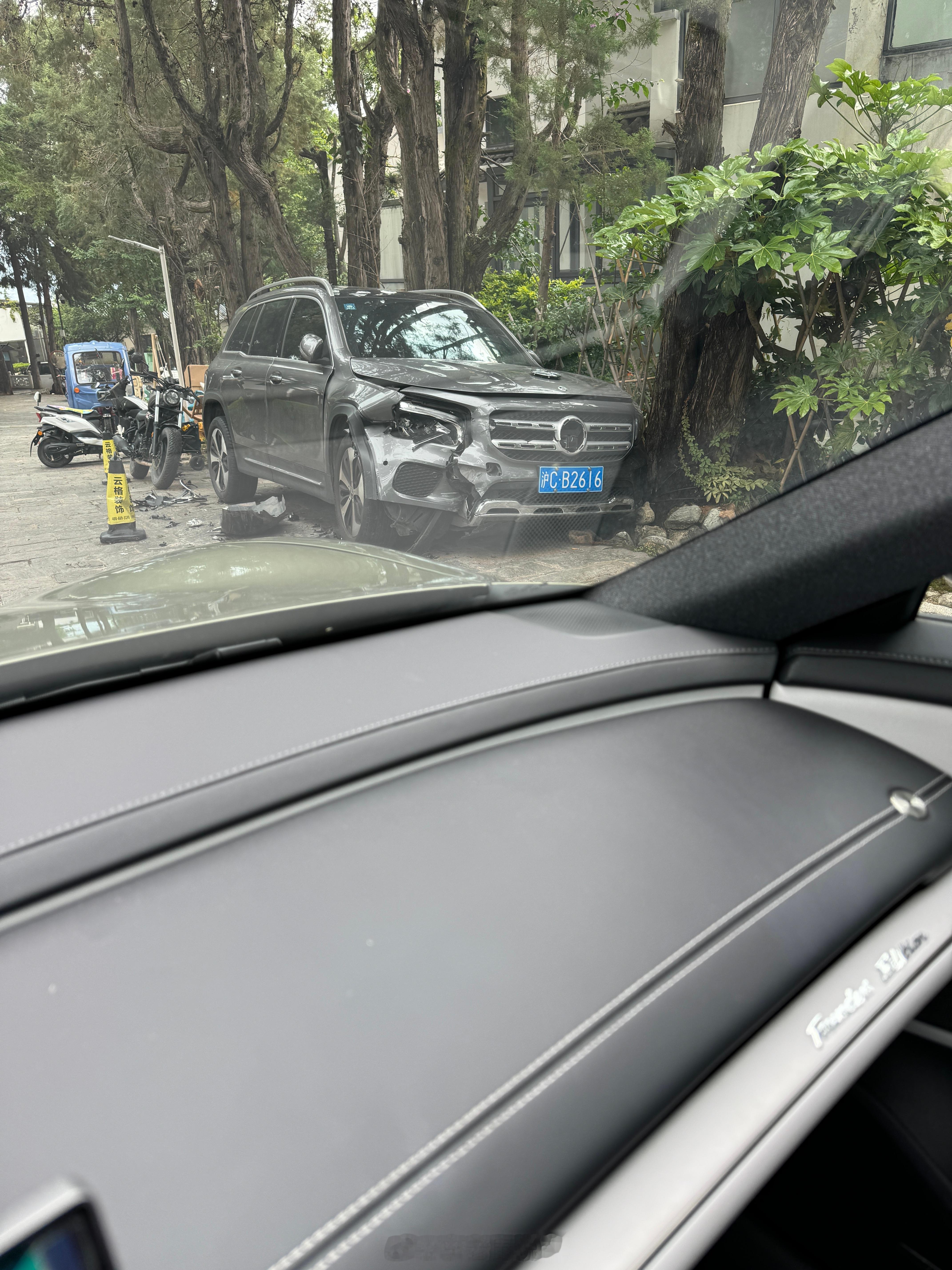 我悲催的领居...  ​​​