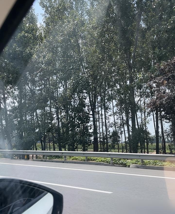 车子行驶到宁陵县，老公突然问我，宁陵这里埋葬的是谁？我当场一下子被问住，我也不知