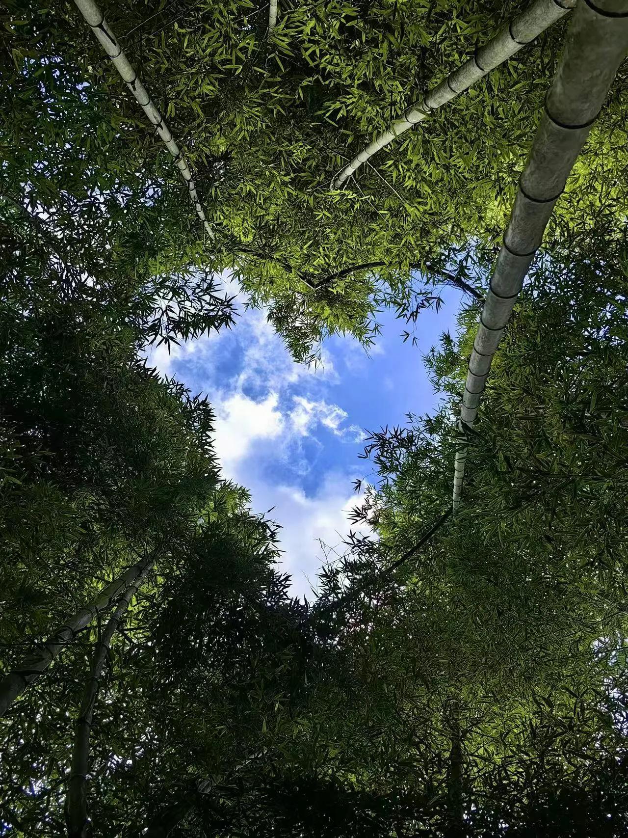 分享一张最近随手拍的照片。❤❤❤❤