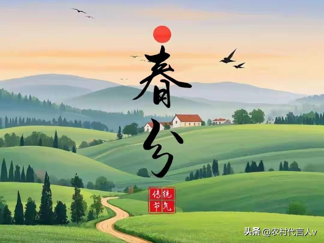今日春分，再忙记得“吃3样，做2事，忌1事”，风调雨顺好年景。
 
“春分昼夜平
