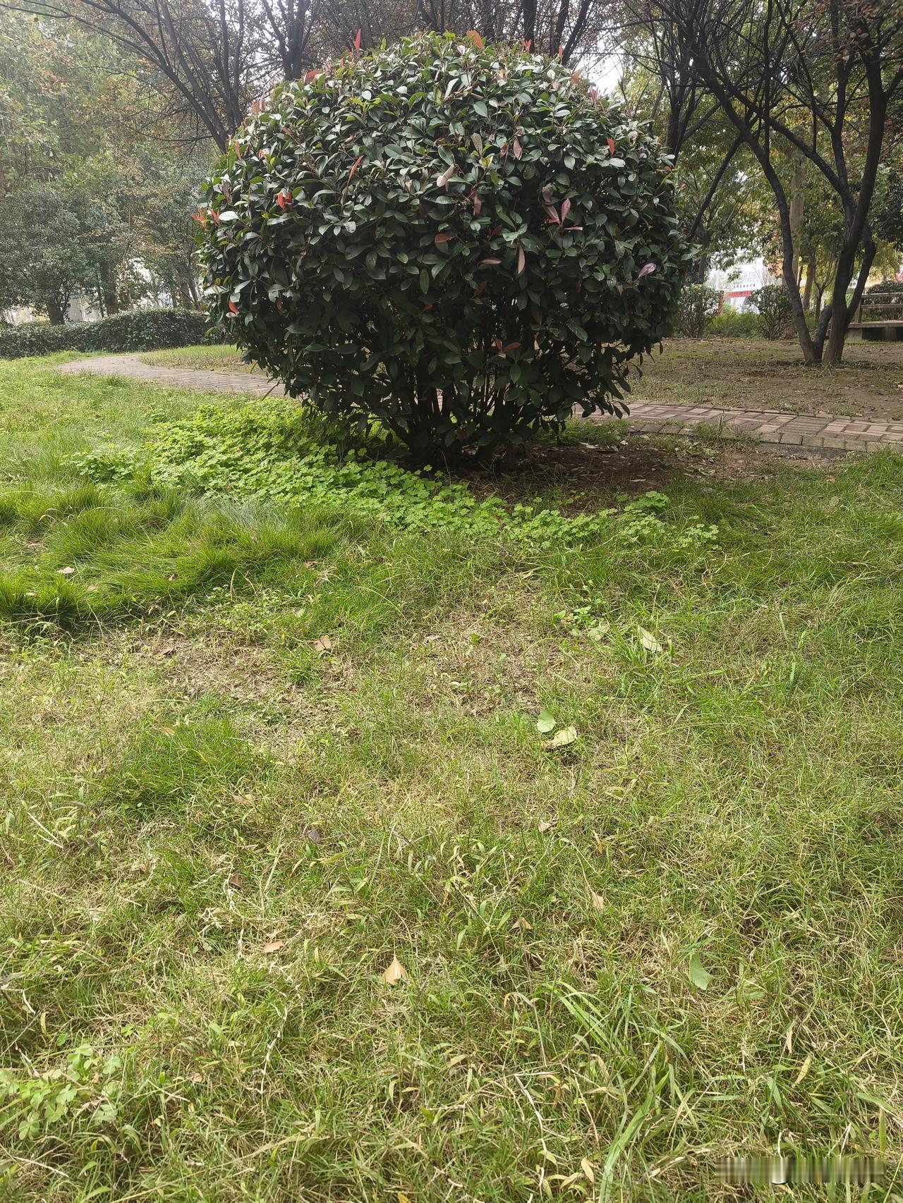 拥有1500万粉丝是啥感觉？看看周杰伦和“高小健”就知道。周杰伦入驻抖音两天粉丝