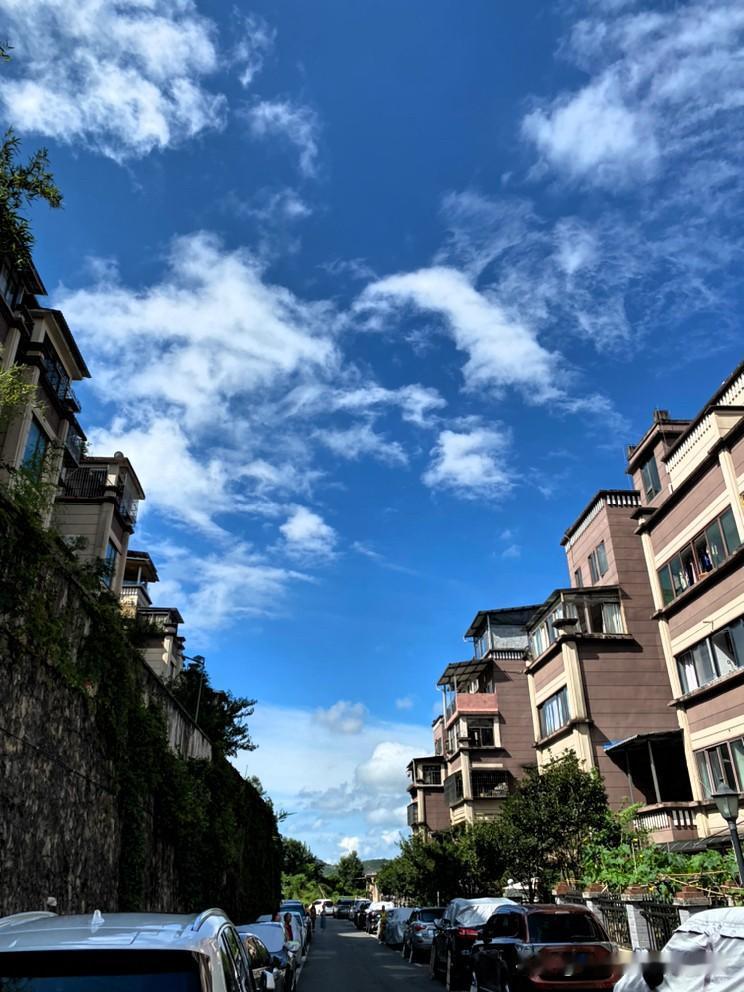 川渝避暑人群中，在贵州黔北地区避暑的人们，已然步入消夏之旅的尾声。虽说八月中旬仍