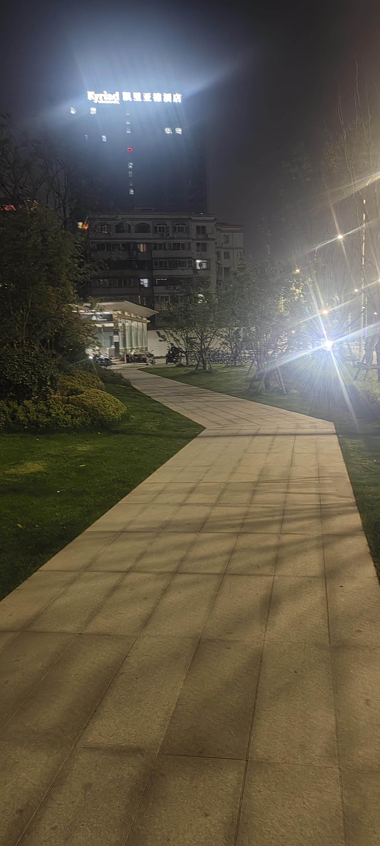 春日生活打卡季晚风很凉！也很摇曳！