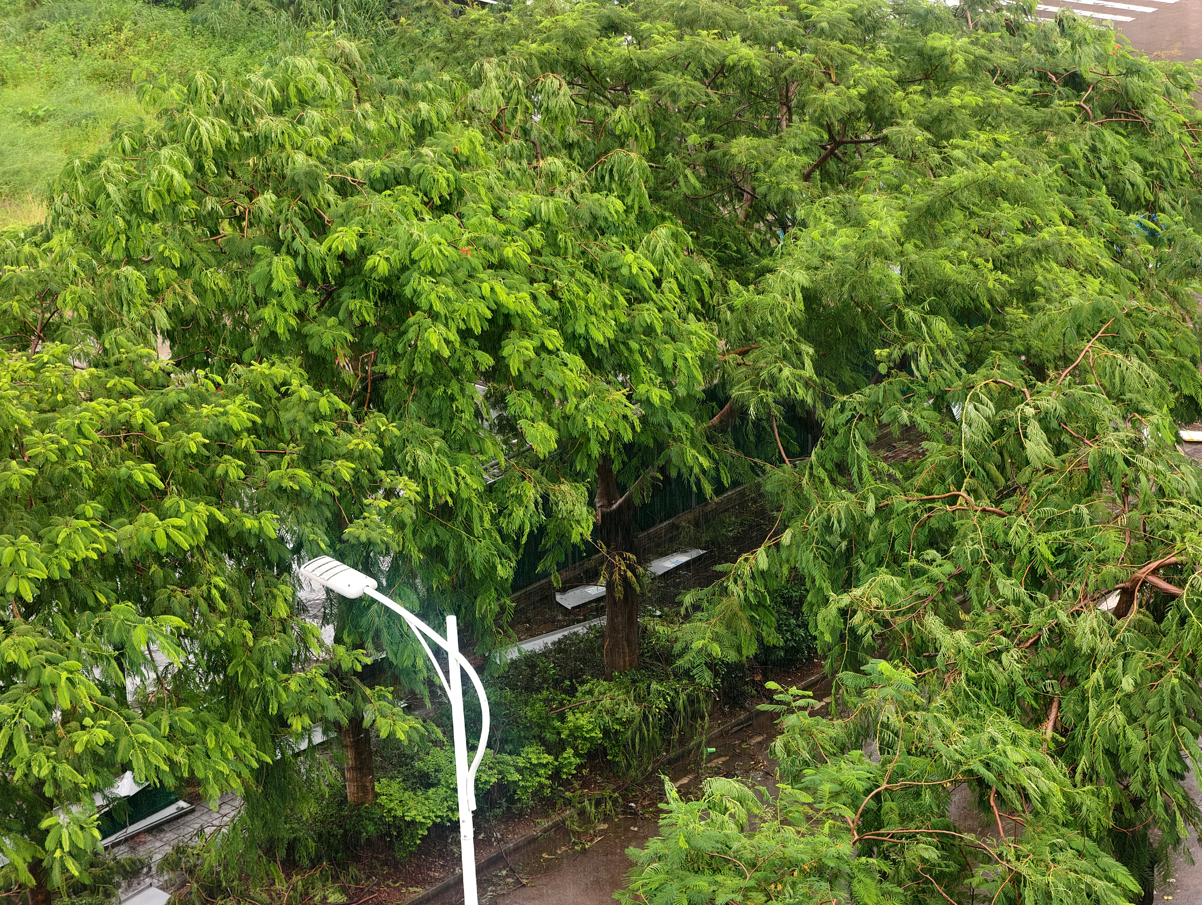 每天早起打卡早啊，下雨 