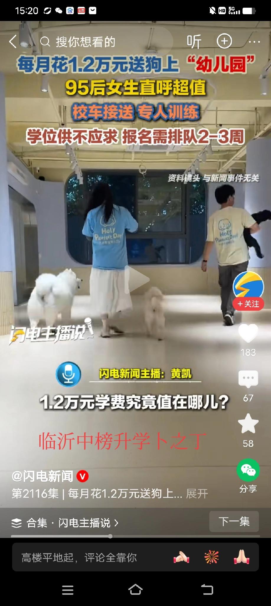 每月花1.2万元送狗去幼儿园，95后女生直呼超值，有校车接送，有专人训练。且学位