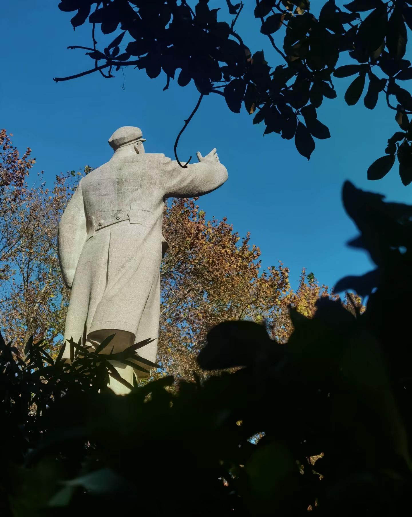 2026年，又将在教员的思想里汲取力量。好好生活，心放宽些，保持乐观，向前向前向