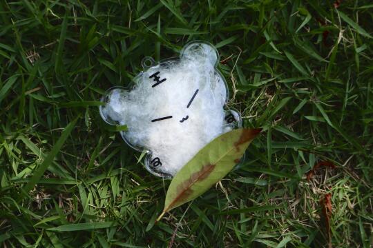 一只 两只 好多只虎虎🐯