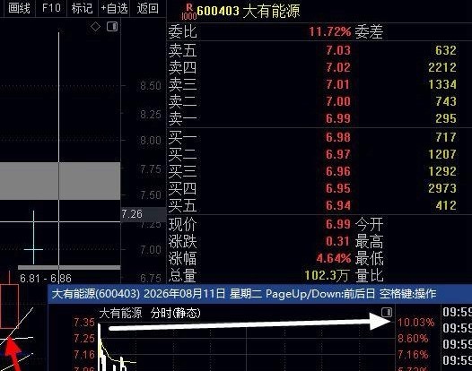 涨停10%，大涨8.8%，涨3.5%，要尾盘股的回复， 多人评论尾盘提前点评分析
