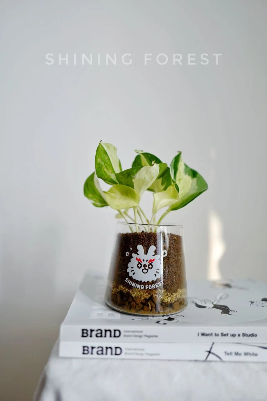 🎈快乐的秘诀是什么？