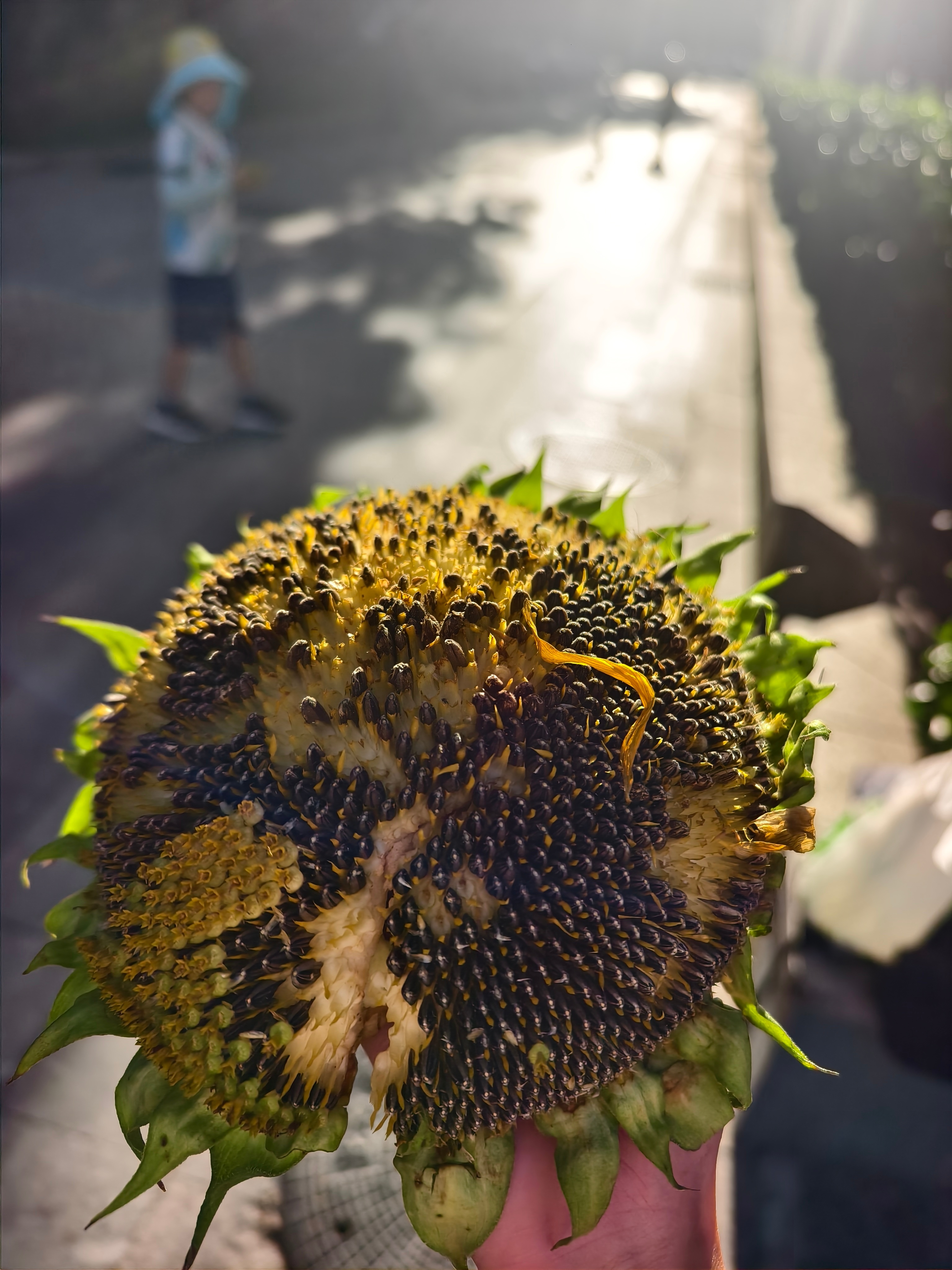 楼长发消息五点整楼下送🌻笑死邻居都好热情啊  ​​​