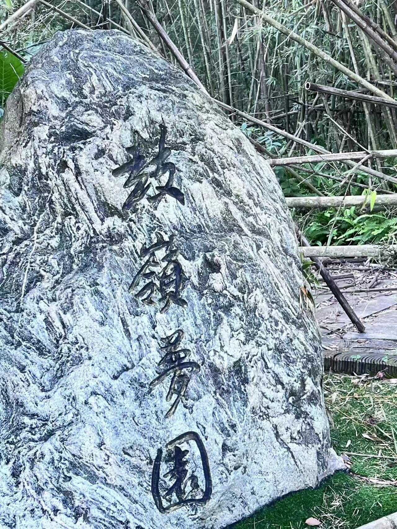 小区唯一的一处可遛遛弯儿的地就这么荒废了吗？#世茂房地产#   不行❌6 7图 