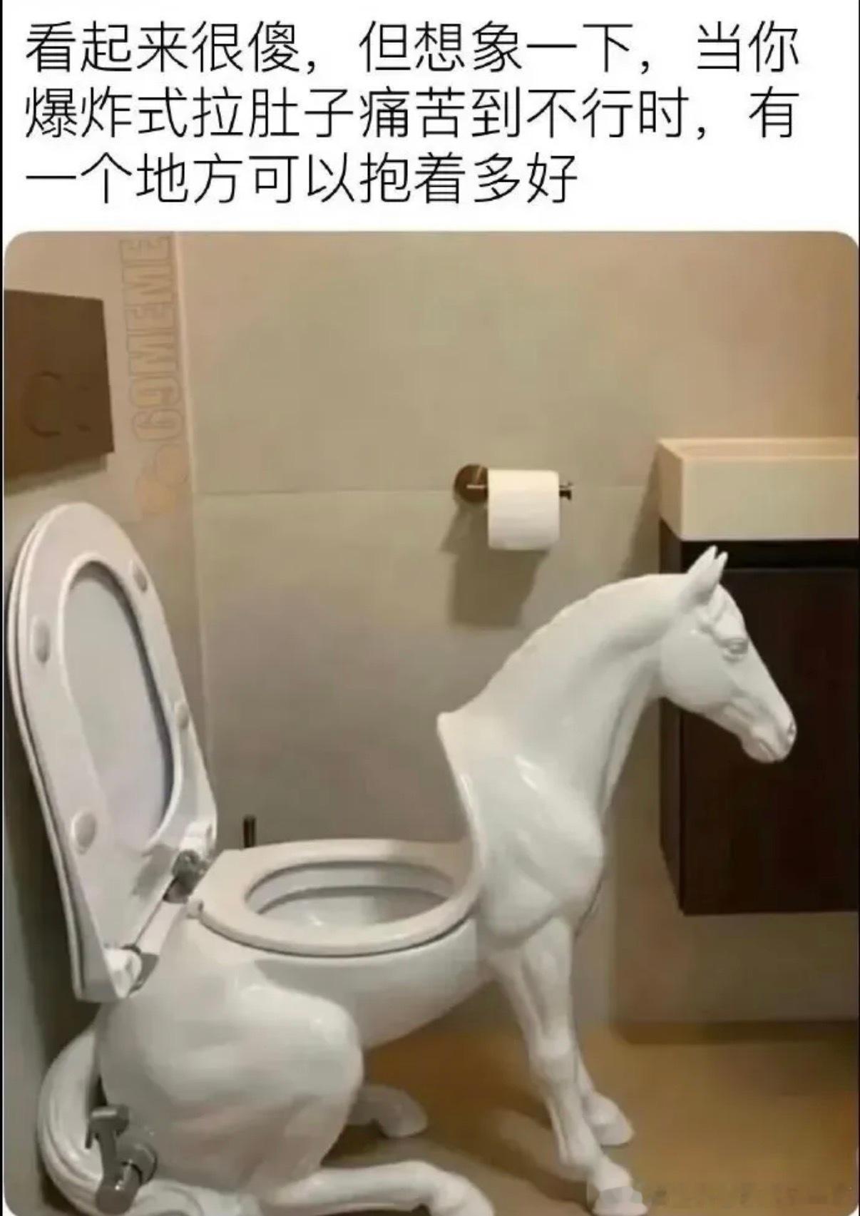 6246真马桶 