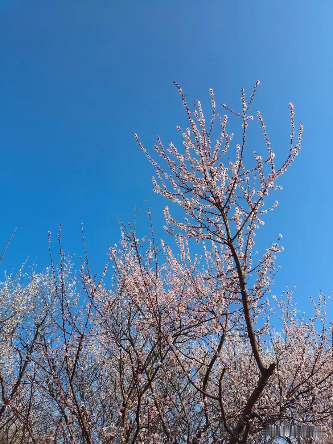 只要你走出家门，迈出脚步，美丽的风景就与你同行。因为最美的风景就在路上，沿途慢行