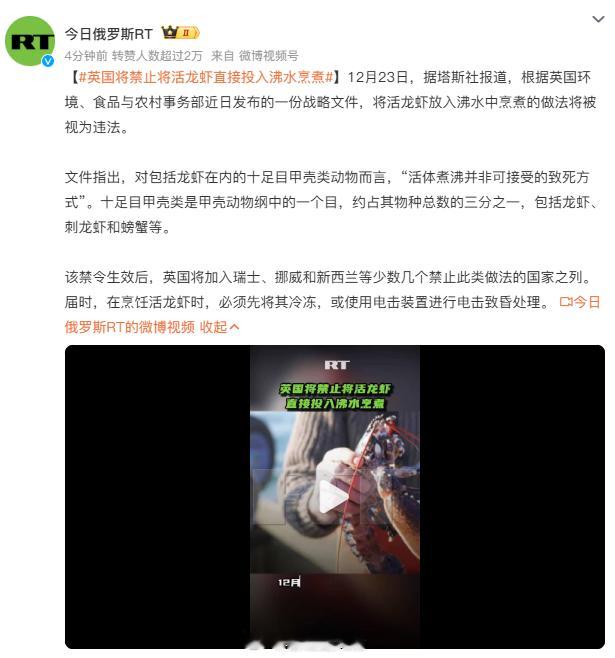 英国将禁止将活龙虾直接投入沸水烹煮 这个今日俄罗斯RT是俄版融媒么