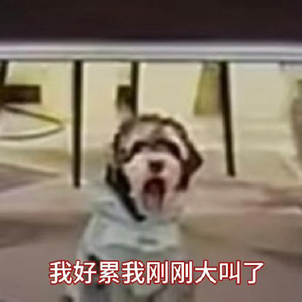猜猜猜是什么意思？什么猜不猜猜啊猜的，star都不猜本儿了。猜一个被否一个真有我