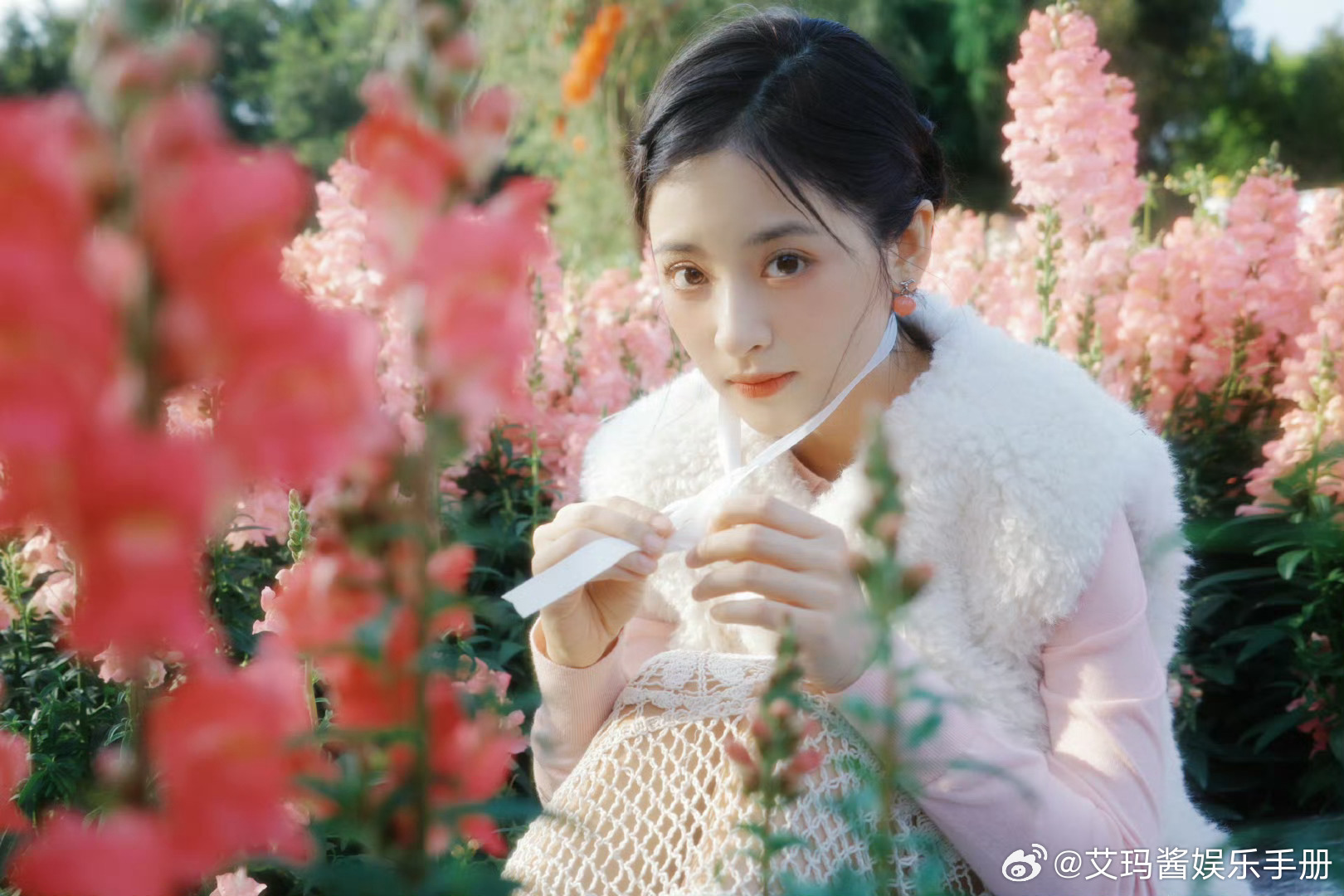 张晚意 沈月《但愿人长久》阵容来了期待值如何