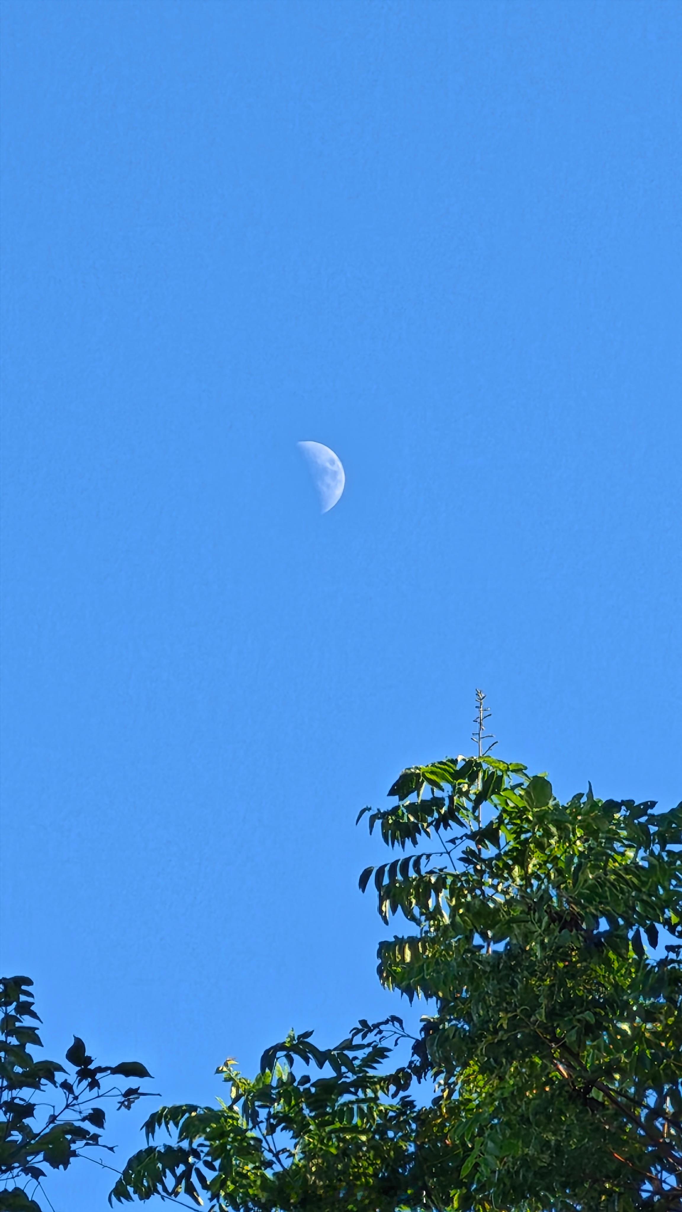 大白天的还能看见日月同时出现啊有趣 上海·黄浦江