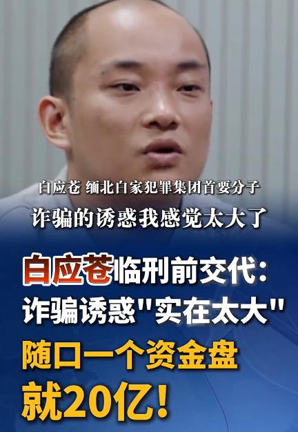 “通缉就通缉，照片不能给我弄好看一点么？”说这话的人就是白应苍，狂是要付出代价的