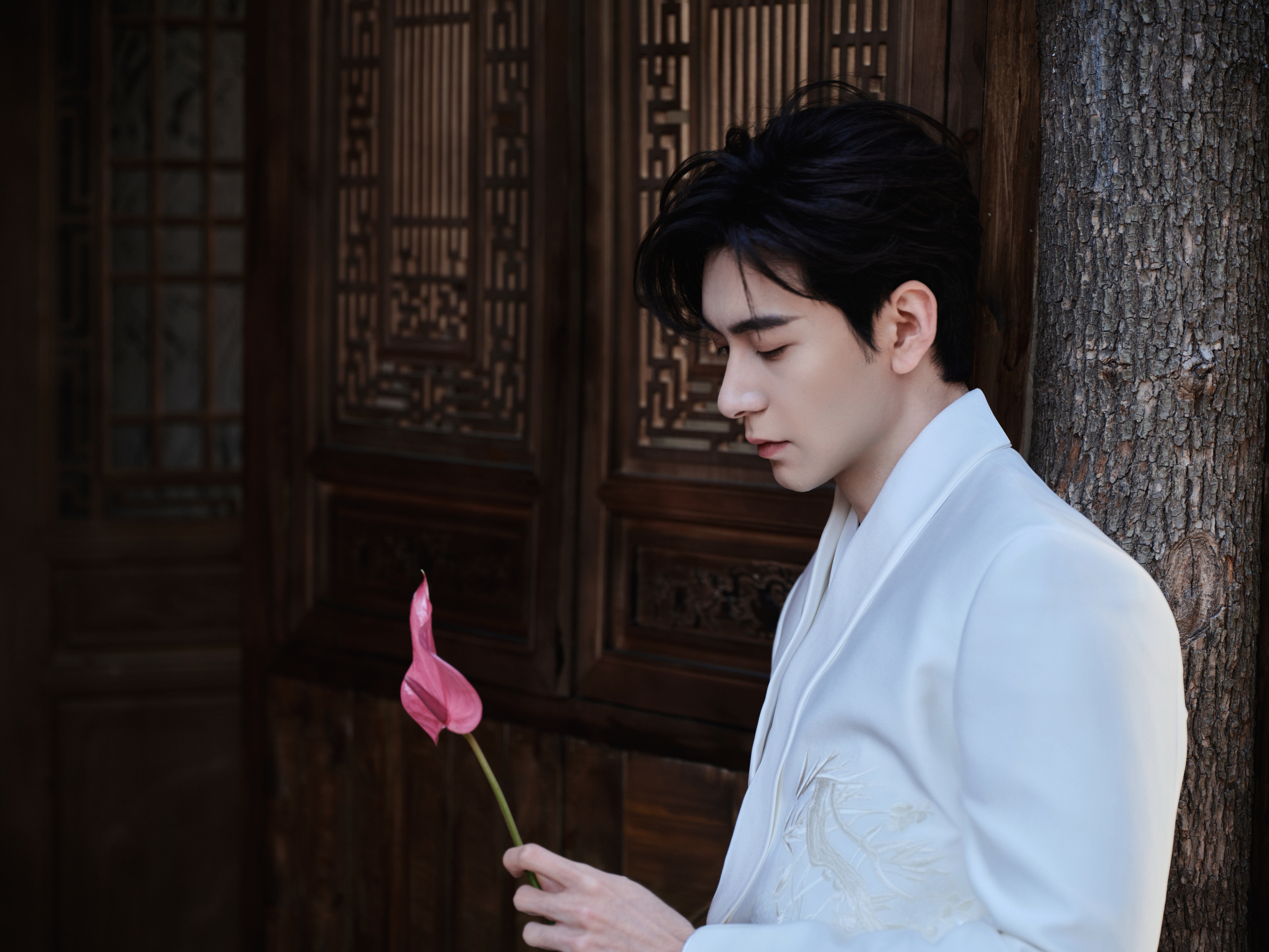 陈星旭  陈星旭爸粉大本营  陈星旭   2026营业照衍生文（一）      