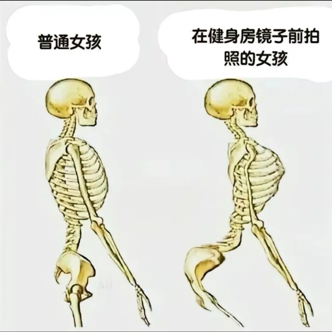 介说的不是我嘛