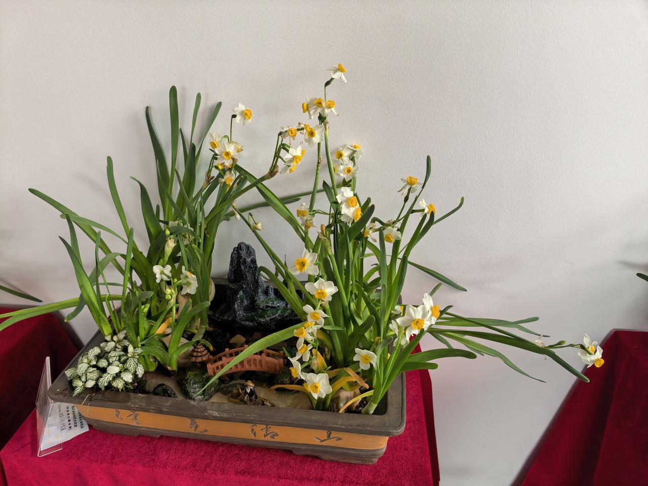 好多年不看了，不关心。