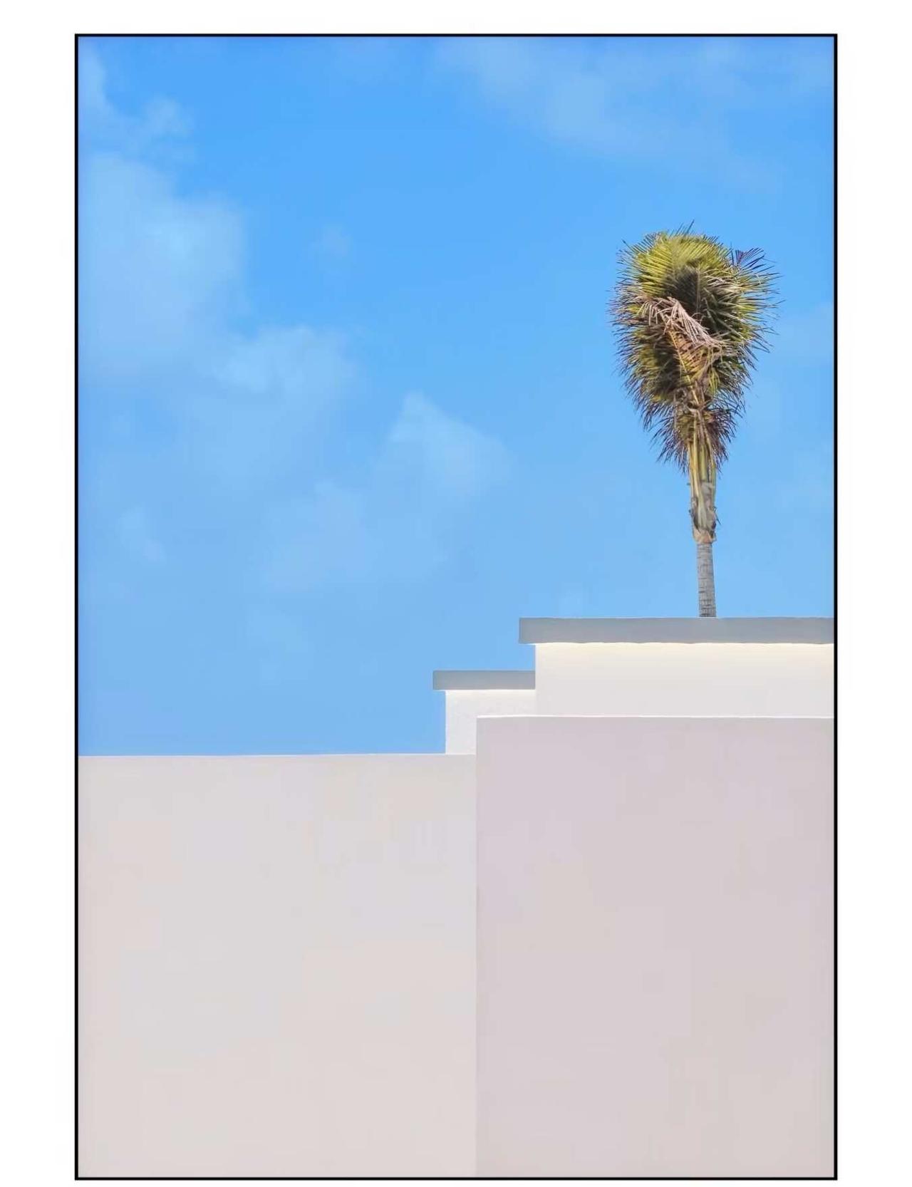 那远方呼唤我 Mexico Calling
在我来的地方，
棕榈树享受着阳光和风