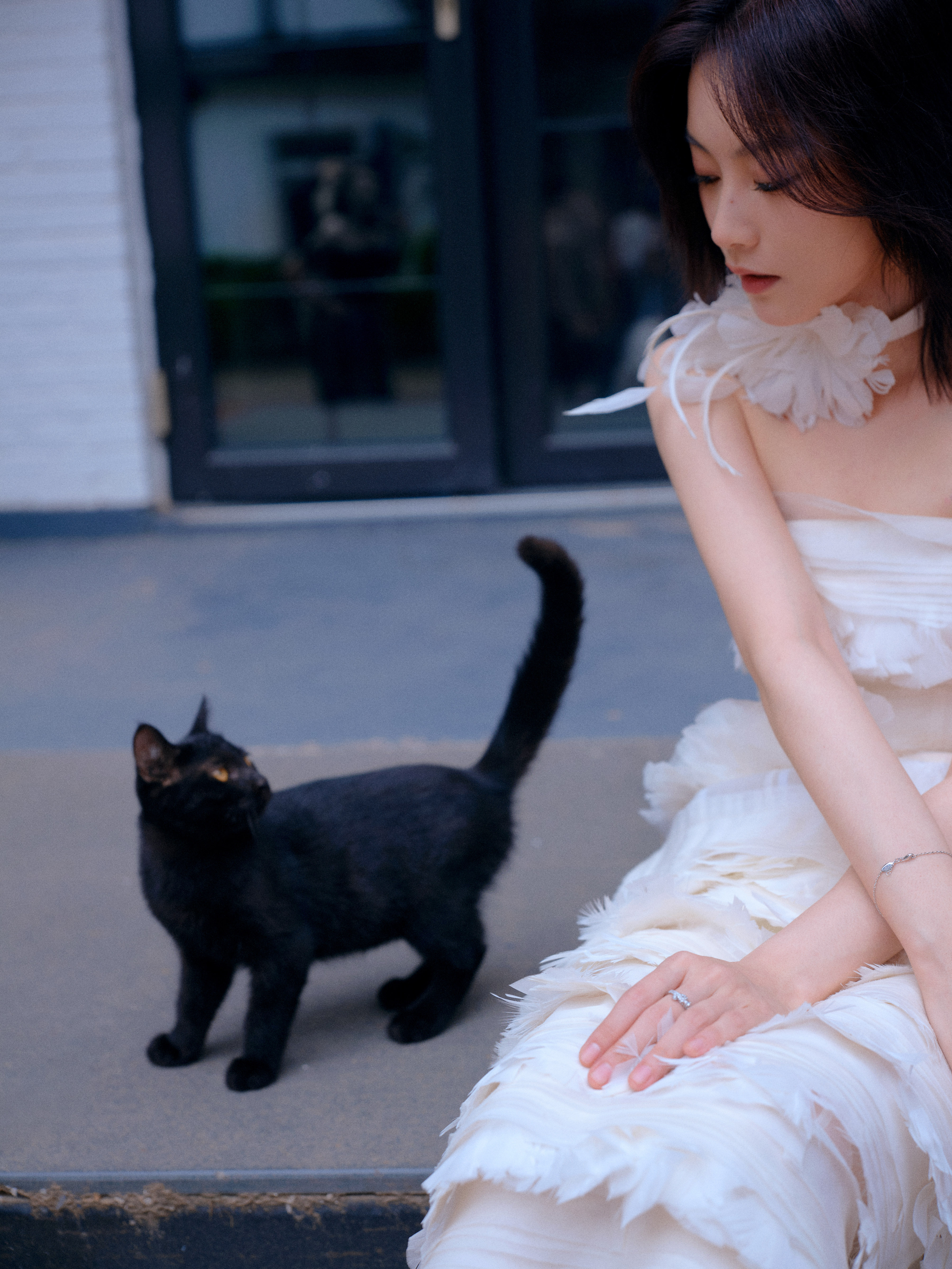 🐈‍⬛🍀 ​​​