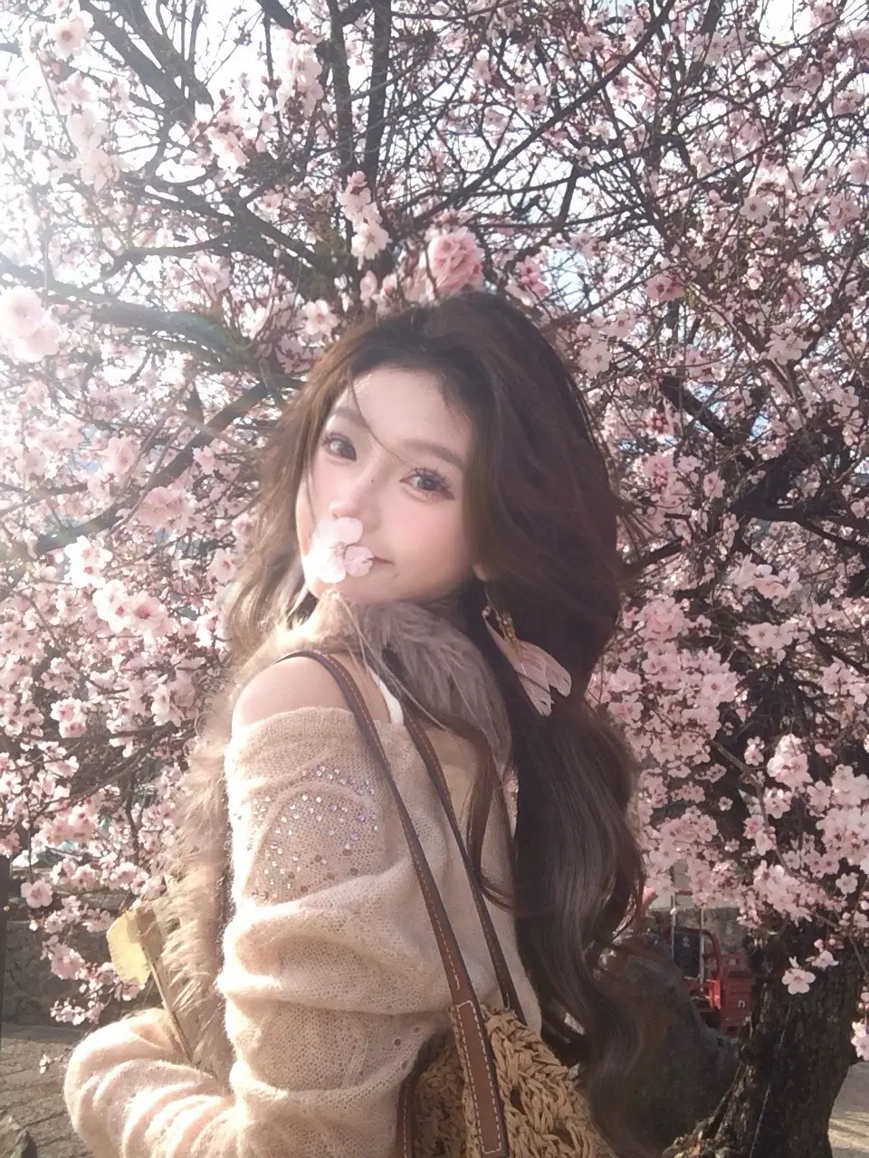 樱花树下站谁都美🌸