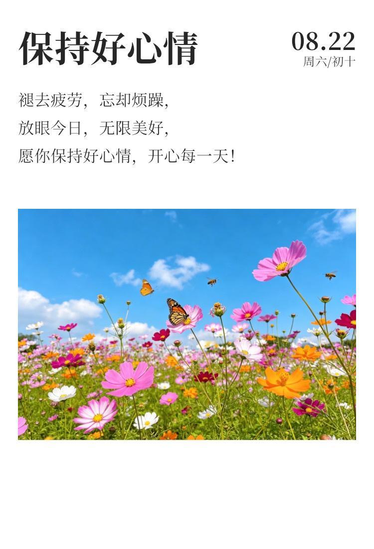 早安 ⛅每天早起打卡 你所看到的惊鸿，都曾被平庸历练。所有耀眼的光芒，背后皆是默