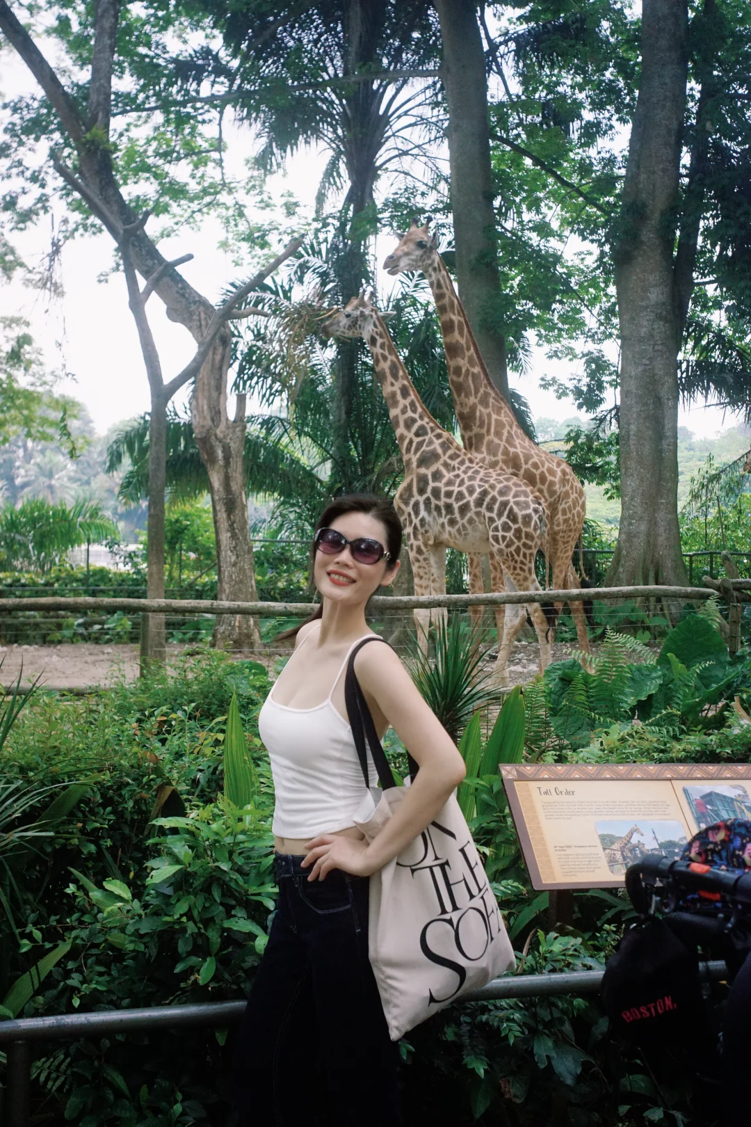 新加坡旅行穿搭，在热带人自然美丽