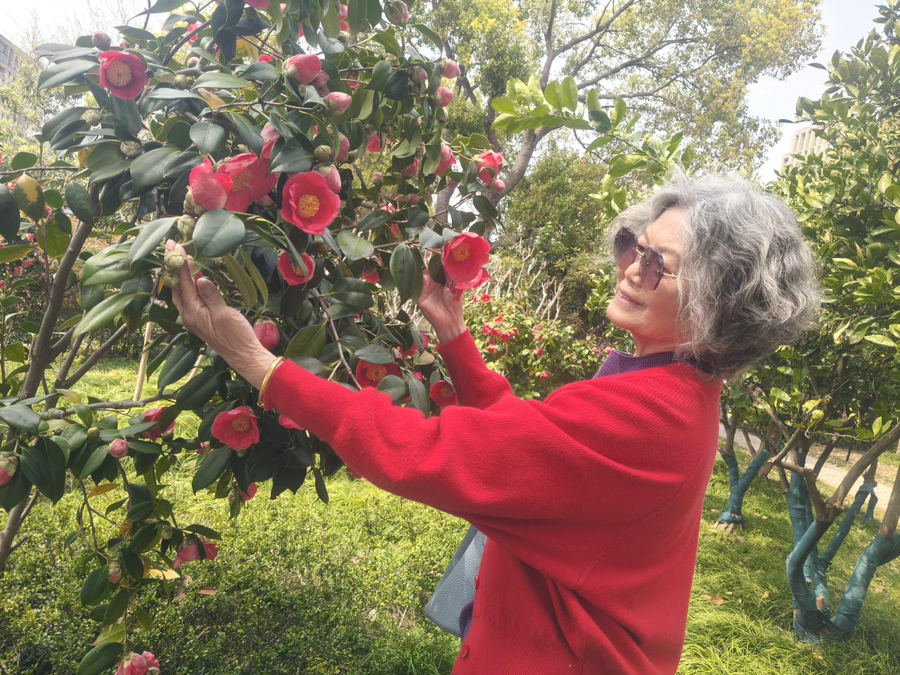 无锡的金匮公园，樱花🌸海棠盛世美景[送自己一朵花][送自己一朵花]
80岁的漂