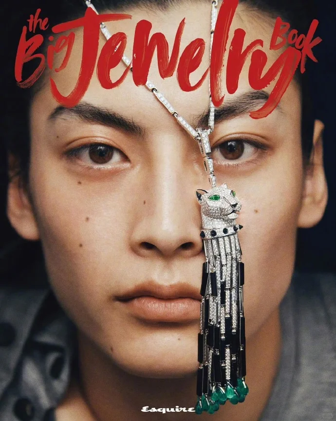 「The Big Jewelry Book」Cartier珠宝
