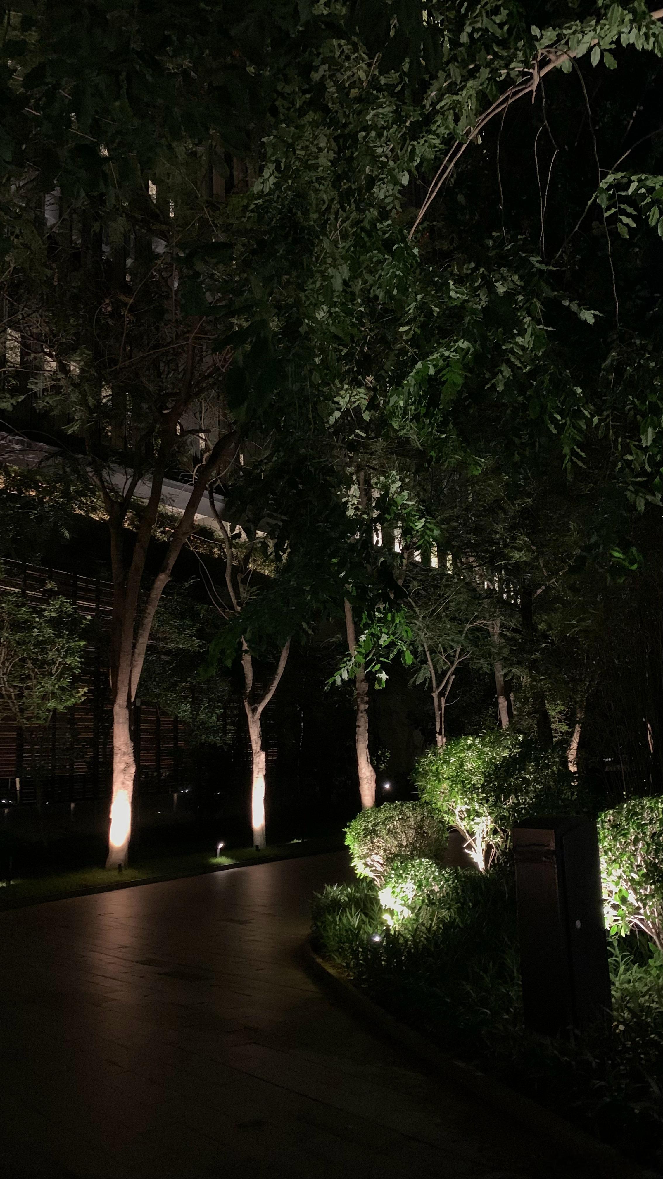 永存的太阳与我 三亚