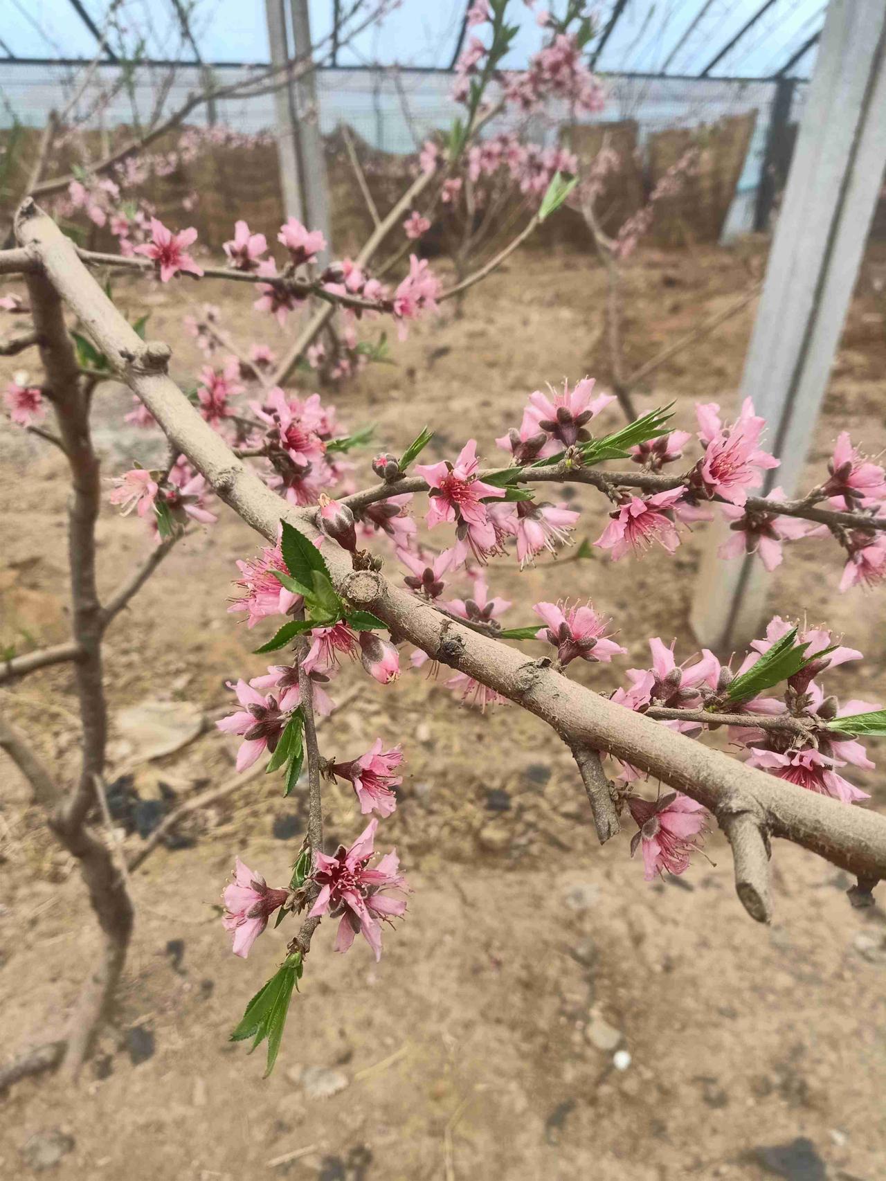 我的今日状态：🏝️旅行度假
我这里的天气：🌈雨过天晴