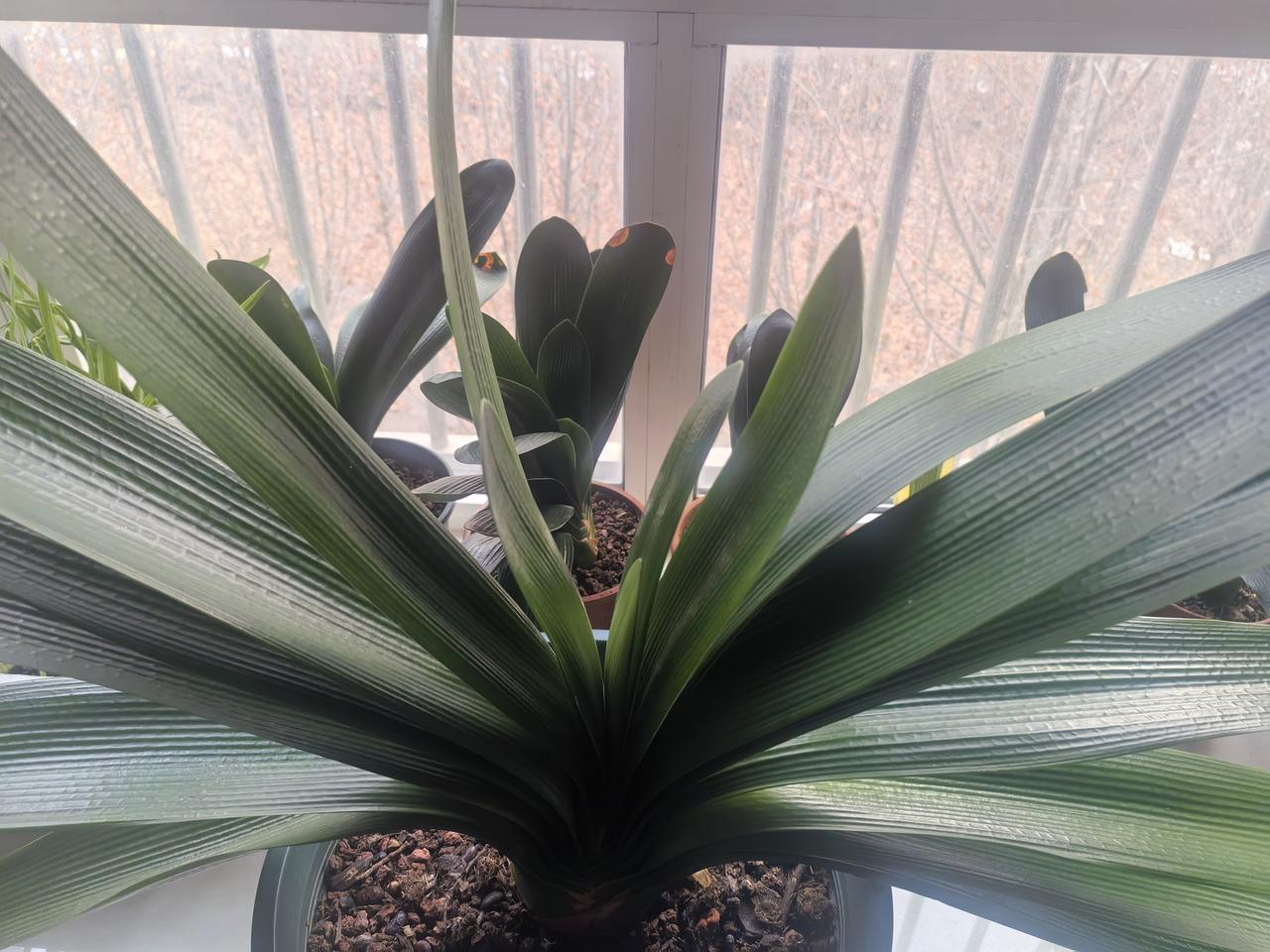 海南亚龙湾
世间仙境现
人人皆向往
看你有无钱