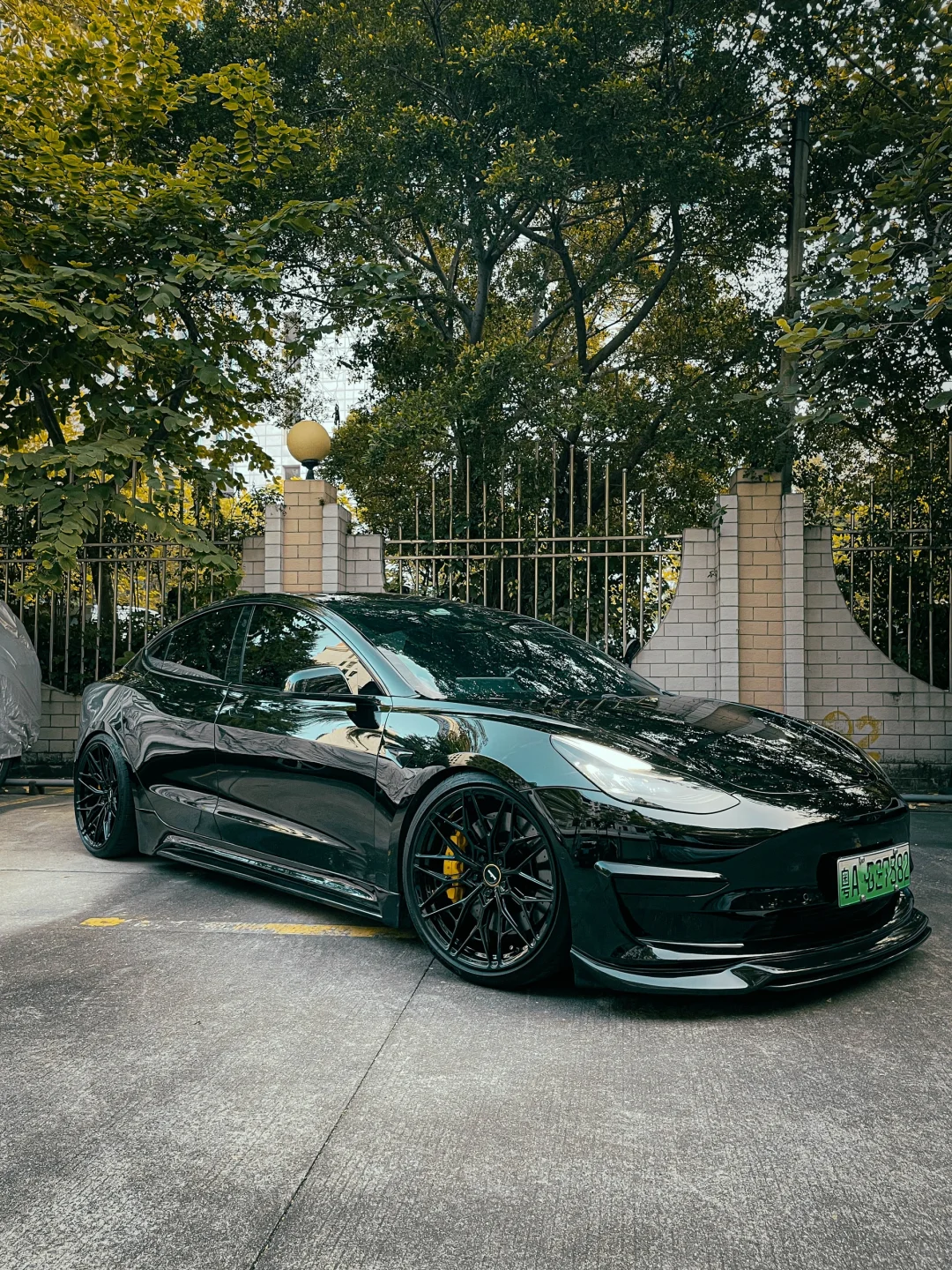 insitons x 特斯拉Model3
