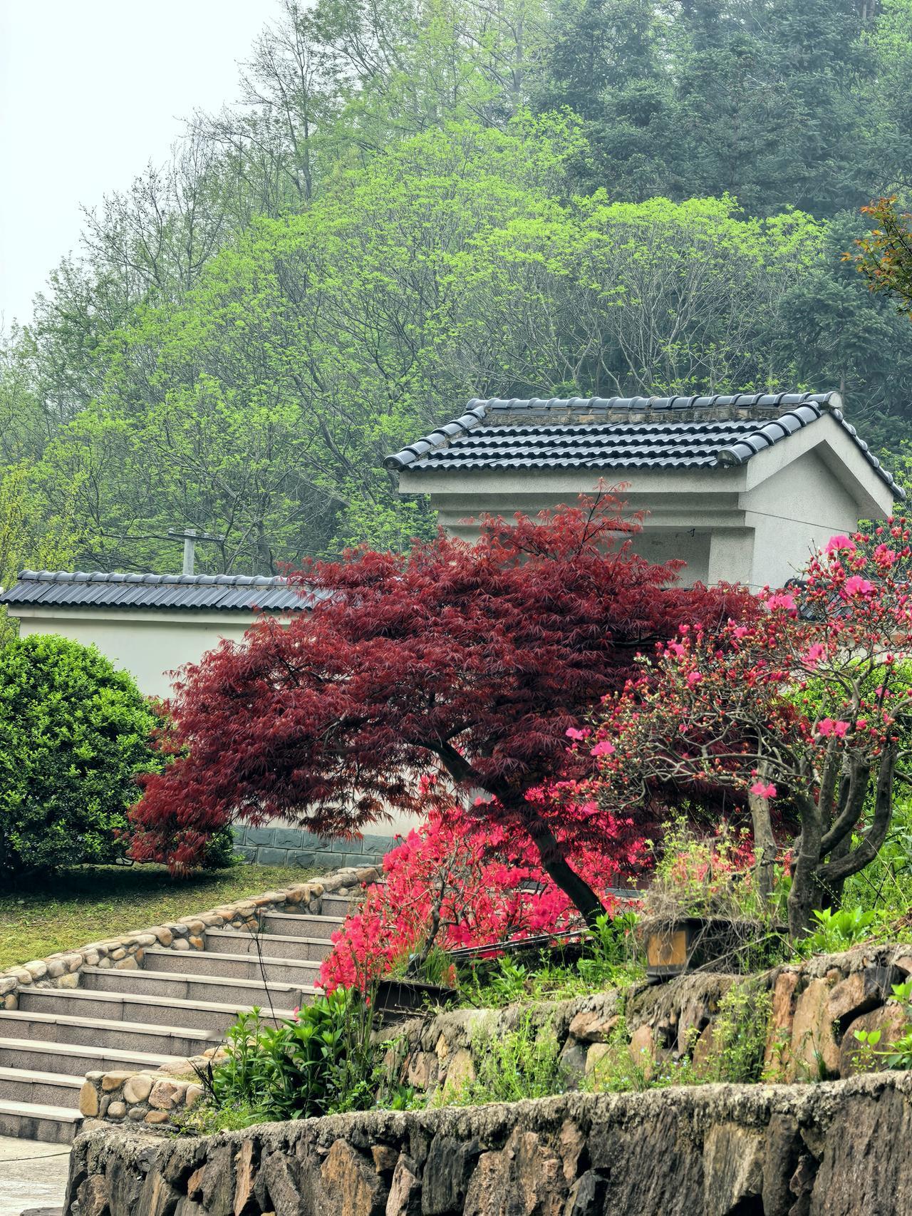 酒龄四十年，戒酒已满273天，距离一周年的节点越来越近，到那天，我一定要好好庆贺