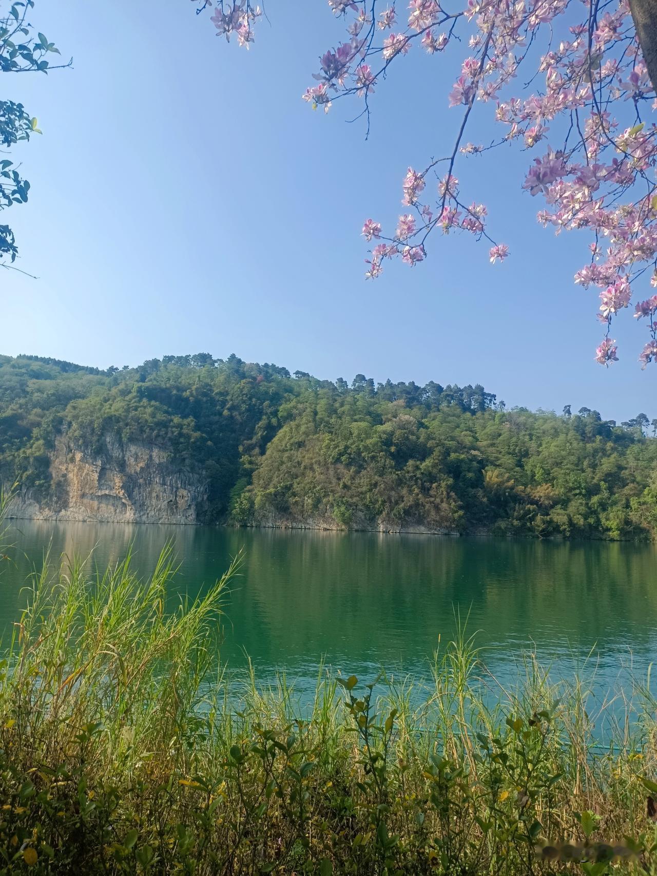 春日限定美好✨
随手记录下的风景，山青水绿，花开正好。
简单走走，随手拍拍，满眼