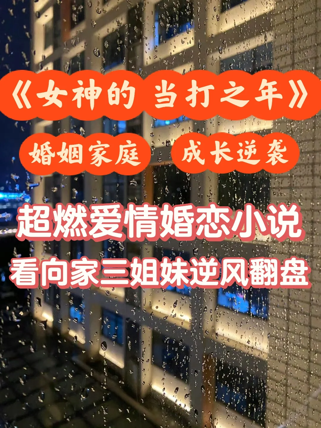 《好团圆》原著❗️向家三姐妹逆风翻盘的故事