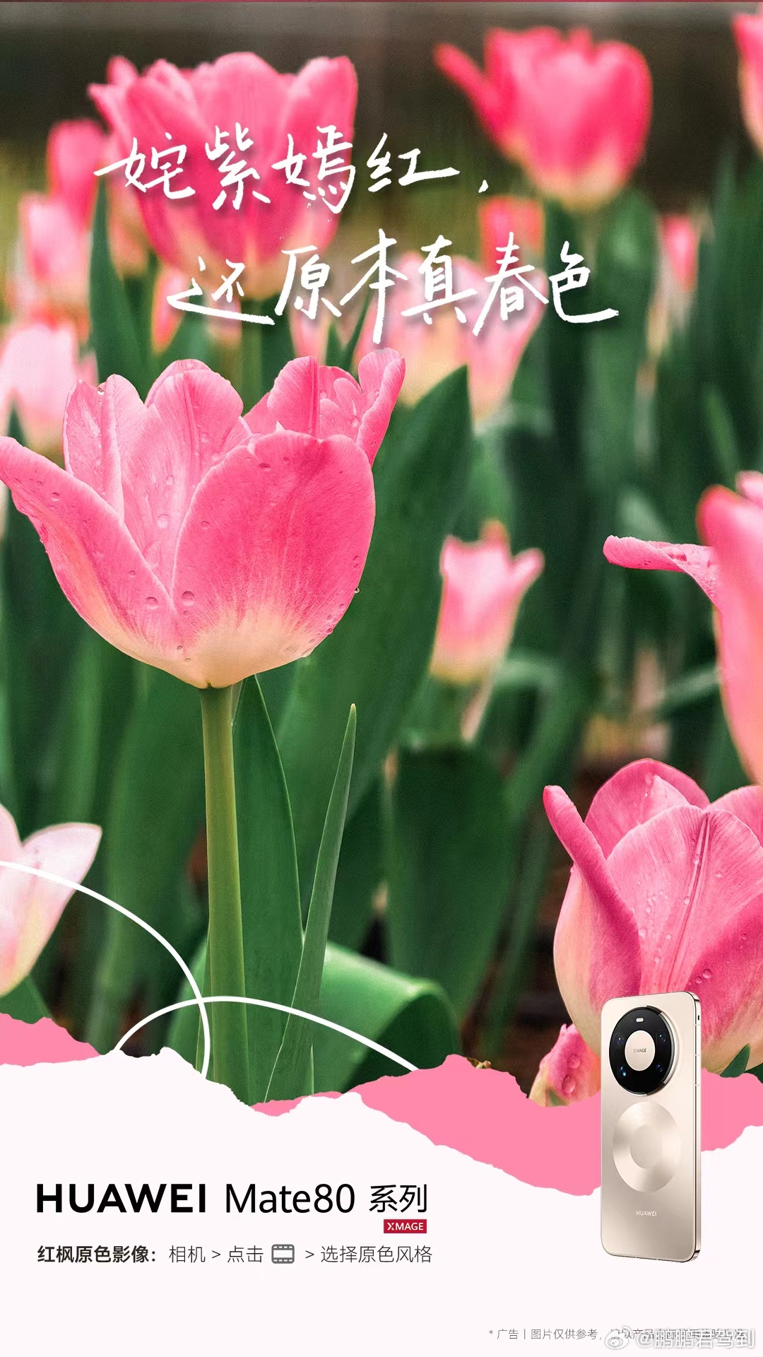 红枫原色真的很适合拍花花绿绿的春天，而且无论远距离近距离，华为随手拍真的太容易出