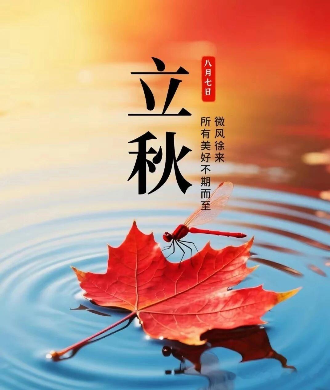 风吹一落叶，万物知秋来。祝您，立秋吉祥！ 南京