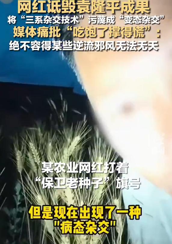 诋毁袁隆平成果网红账号被封，有的人，自己的知识有限，反而无知者无所畏，不但对袁隆
